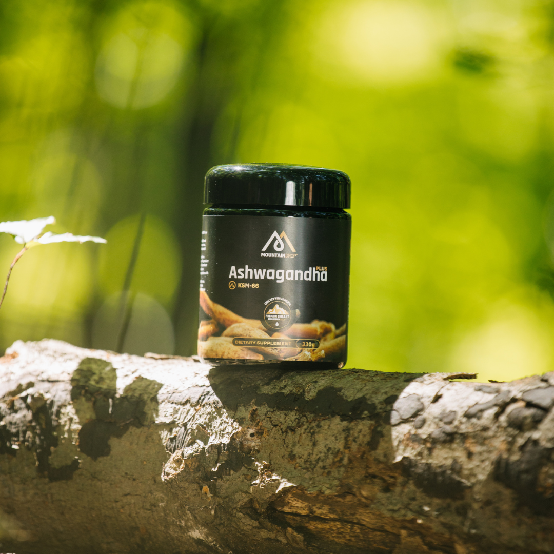 Ashwagandha – ayurvedinen superyrtti stressiin ja palautumiseen.