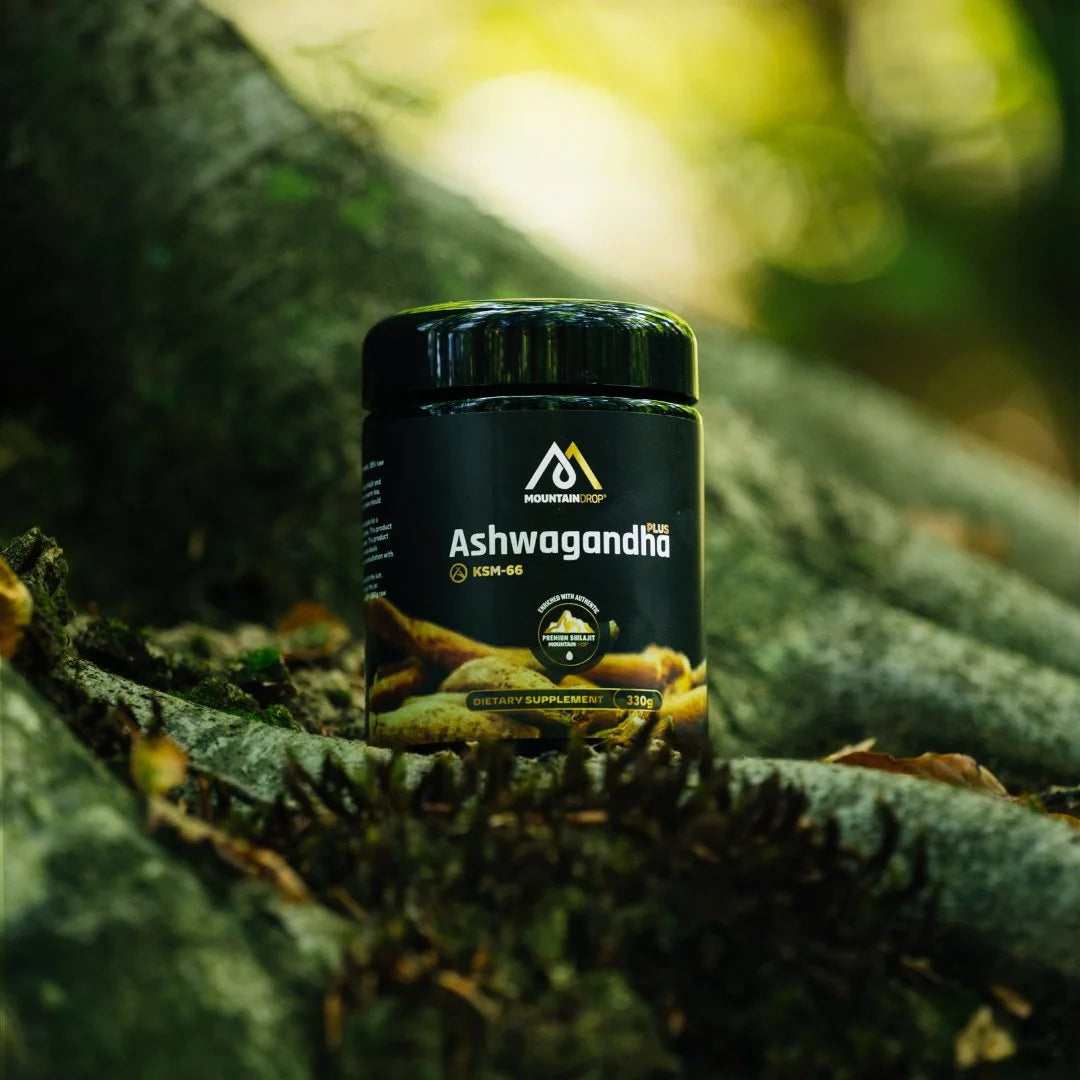 Mountaindrop Ashwagandha+ purkki ja ashwagandhan juuret – tehokas luonnon yrttivalmiste henkiseen tasapainoon.