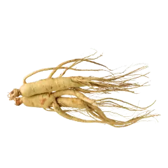 Ashwagandha KSM-66 juuri. Tekee Mountaindrop ashwagandha plussasta yhden parhaista Ashwagandha valmisteista.