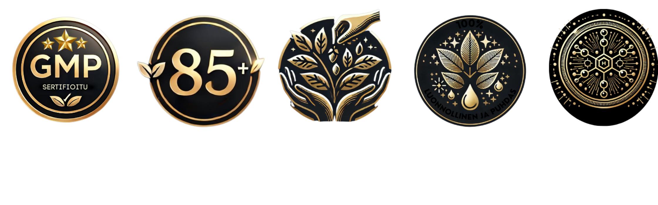 Mountaindrop Ashwagandha hyödyt. Markkinoiden tehokkain ashwagandha - lisäravinne keholle ja mielelle.