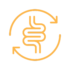 Ikoni suoliston hyvinvoinnin tukemisesta. Yerba mate edistää immuunijärjestelmää ja tukee suoliston toimivuutta.