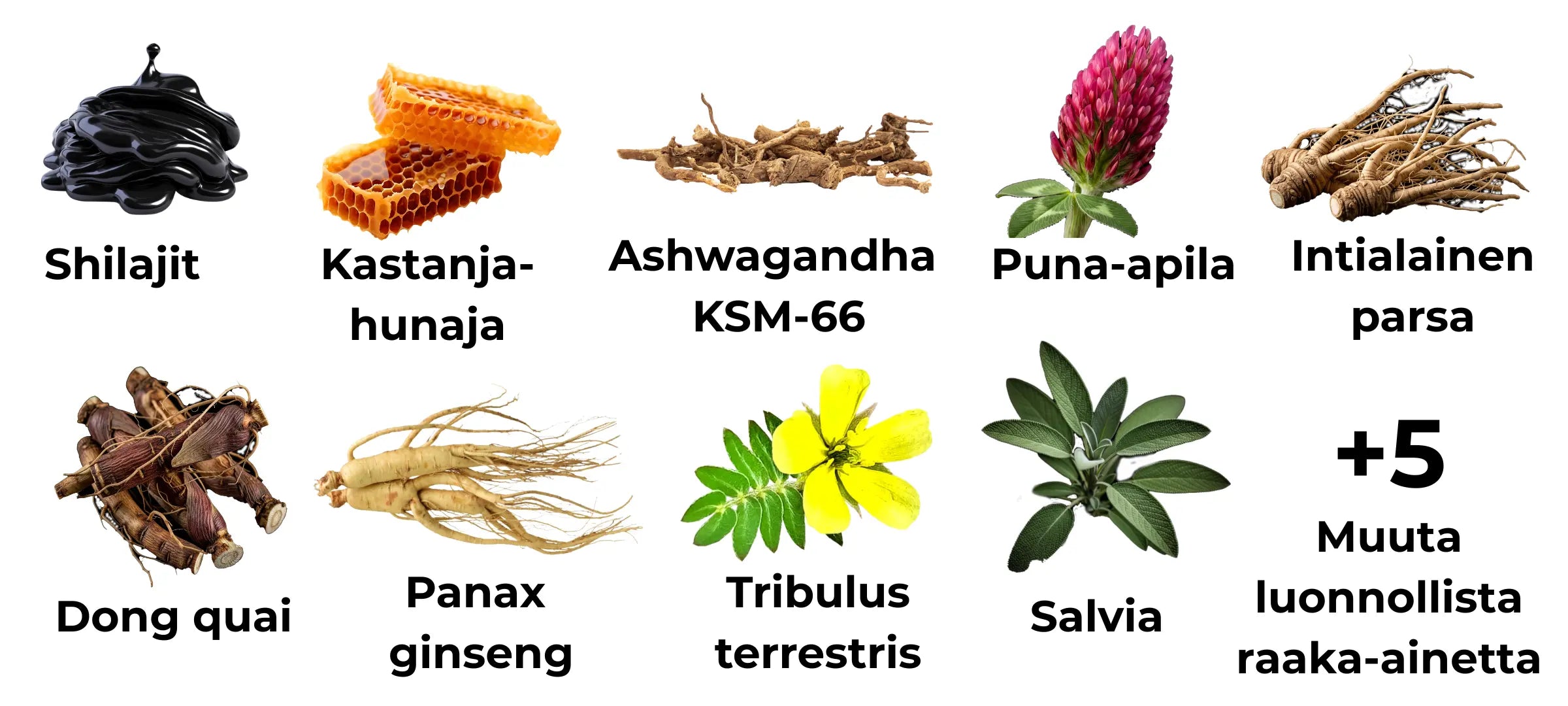 Mountaindrop Flourish -ravintolisän luonnolliset ainesosat naisille. Kuvassa esitellään tuotteen ydinraaka-aineet: Shilajit, kastanjahunaja, Ashwagandha KSM-66, puna-apila, intialainen parsa, Dong quai, Panax ginseng, Tribulus terrestris ja salvia, sekä maininta viidestä muusta luonnollisesta raaka-aineesta.