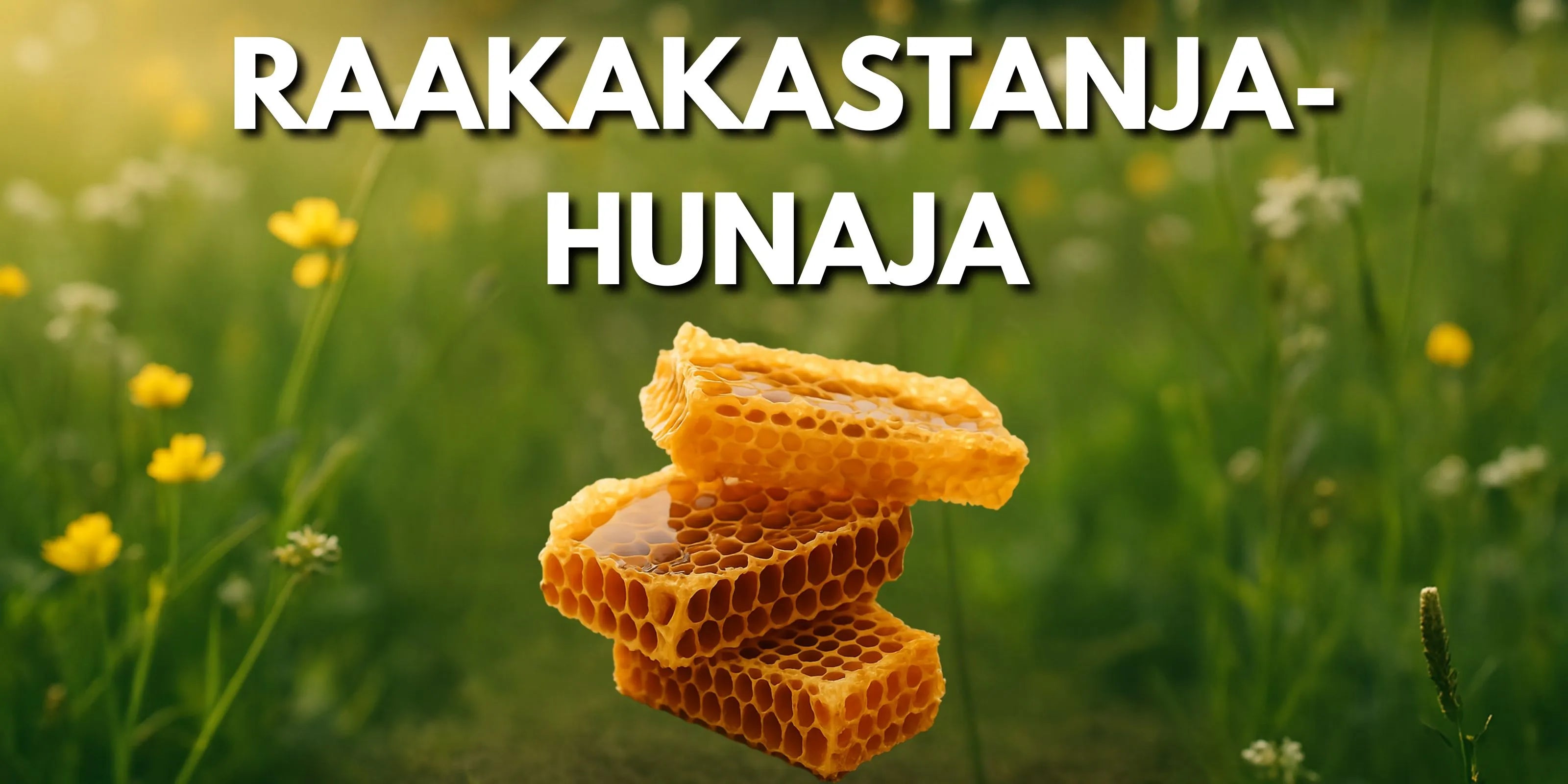 Raakakastanjahunajan taustalla luontoa. Parantaa immuunijärjestelmää tehokkaasti.