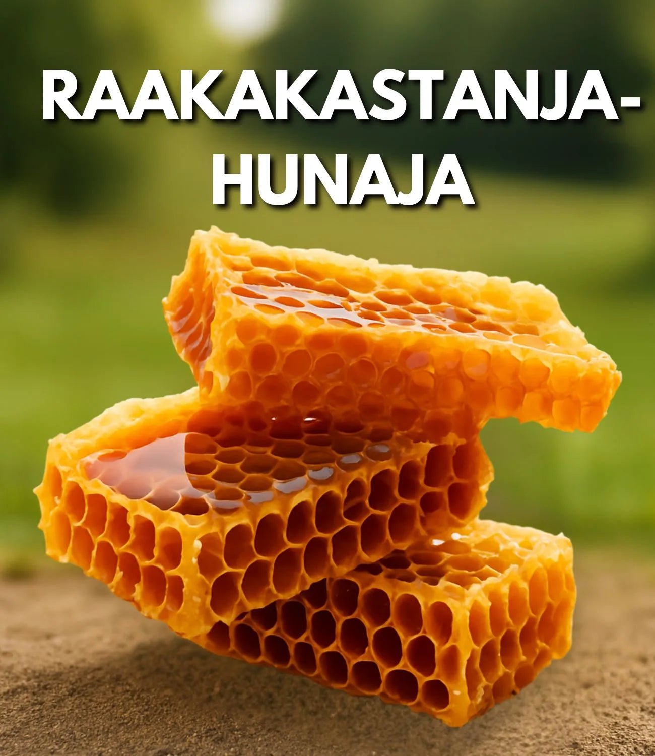 Kastanjahunaja luonto taustalla. Mountaindrop kastanjahunaja toimii luonnollisena pohjana useille tuotteille.