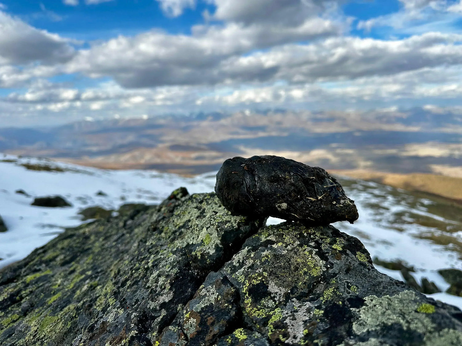 Shilajit luonnossa – vuorten kätketty aarre