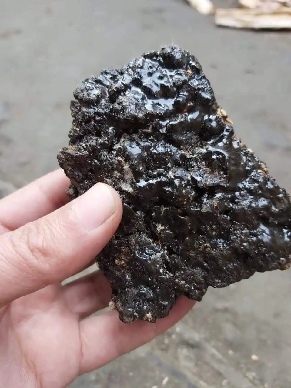 Mitä Shilajit on? Hyödyt, annostus ja laatu (Kattava opas)